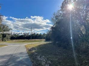 00000 SW 147TH Loop, Other City - In The State Of Florida FL 34473 photo 2