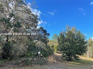 00000 SW 147TH Loop, Other City - In The State Of Florida FL 34473 photo 3