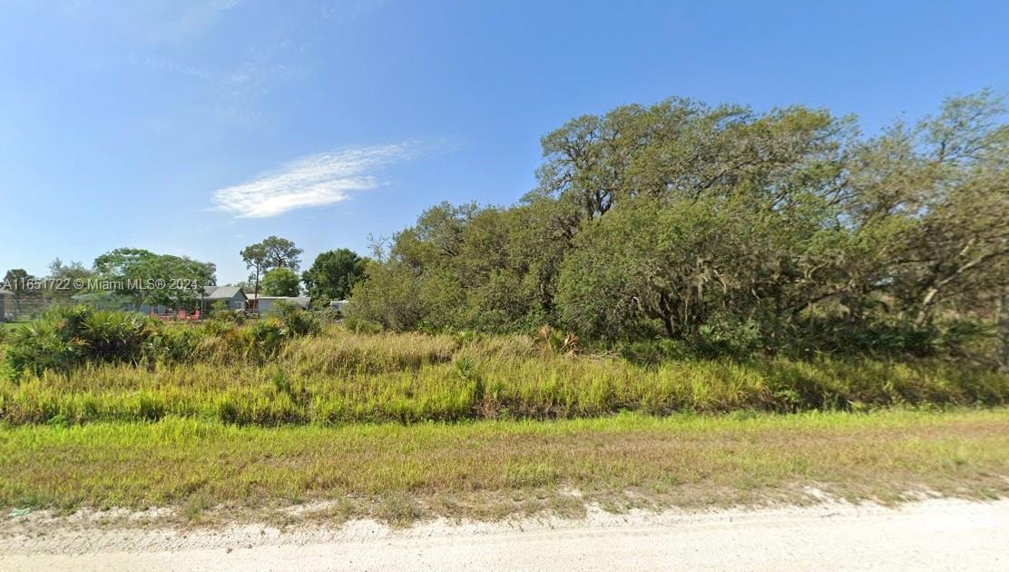 2923 Kenosha Rd, Avon Park FL 33825 photo 2