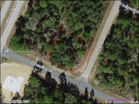 8760 N Athens, Citrus Springs FL 34433