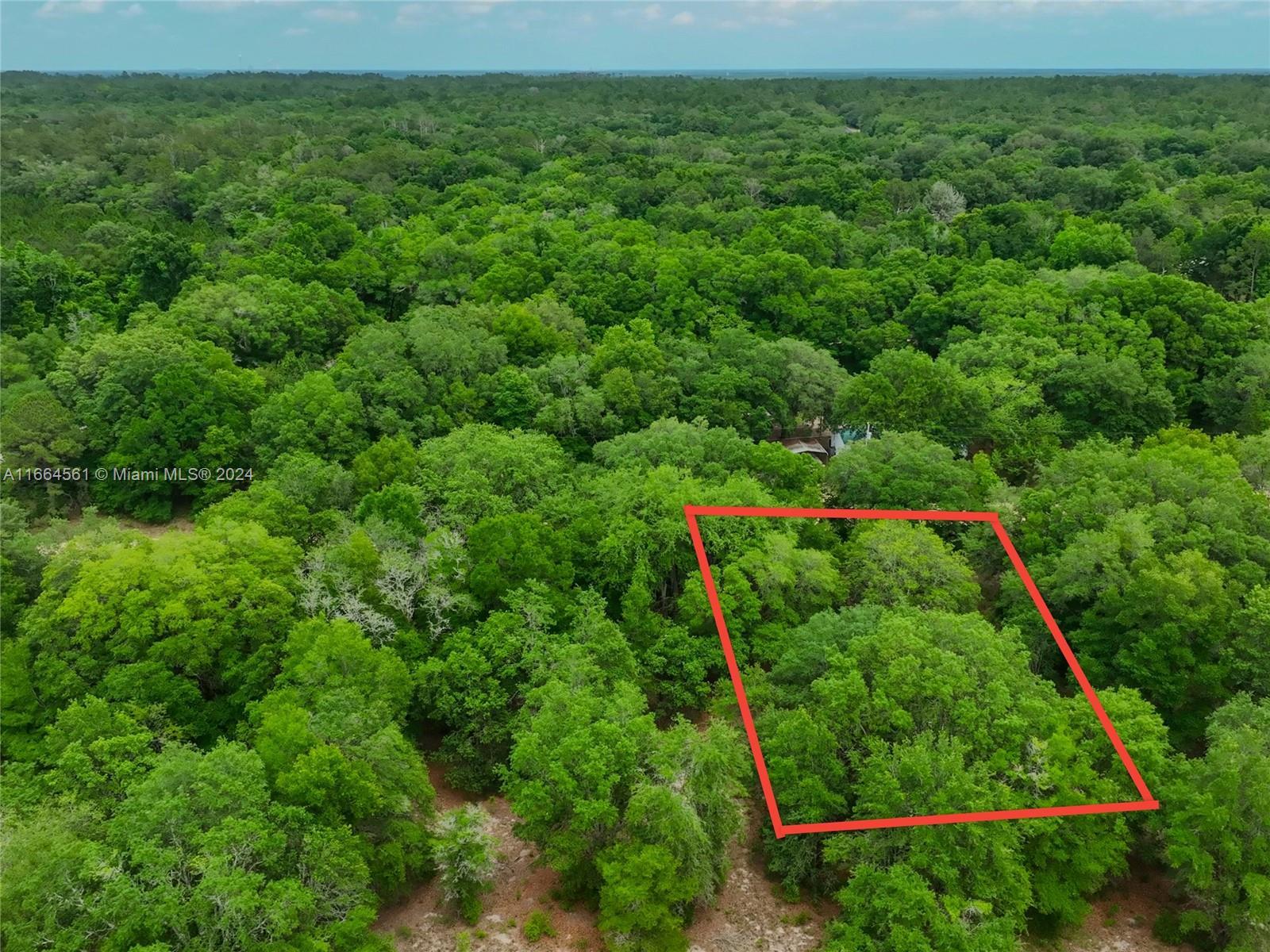 217 Amsterdam Street, Other City - In The State Of Florida FL 32148 photo 2