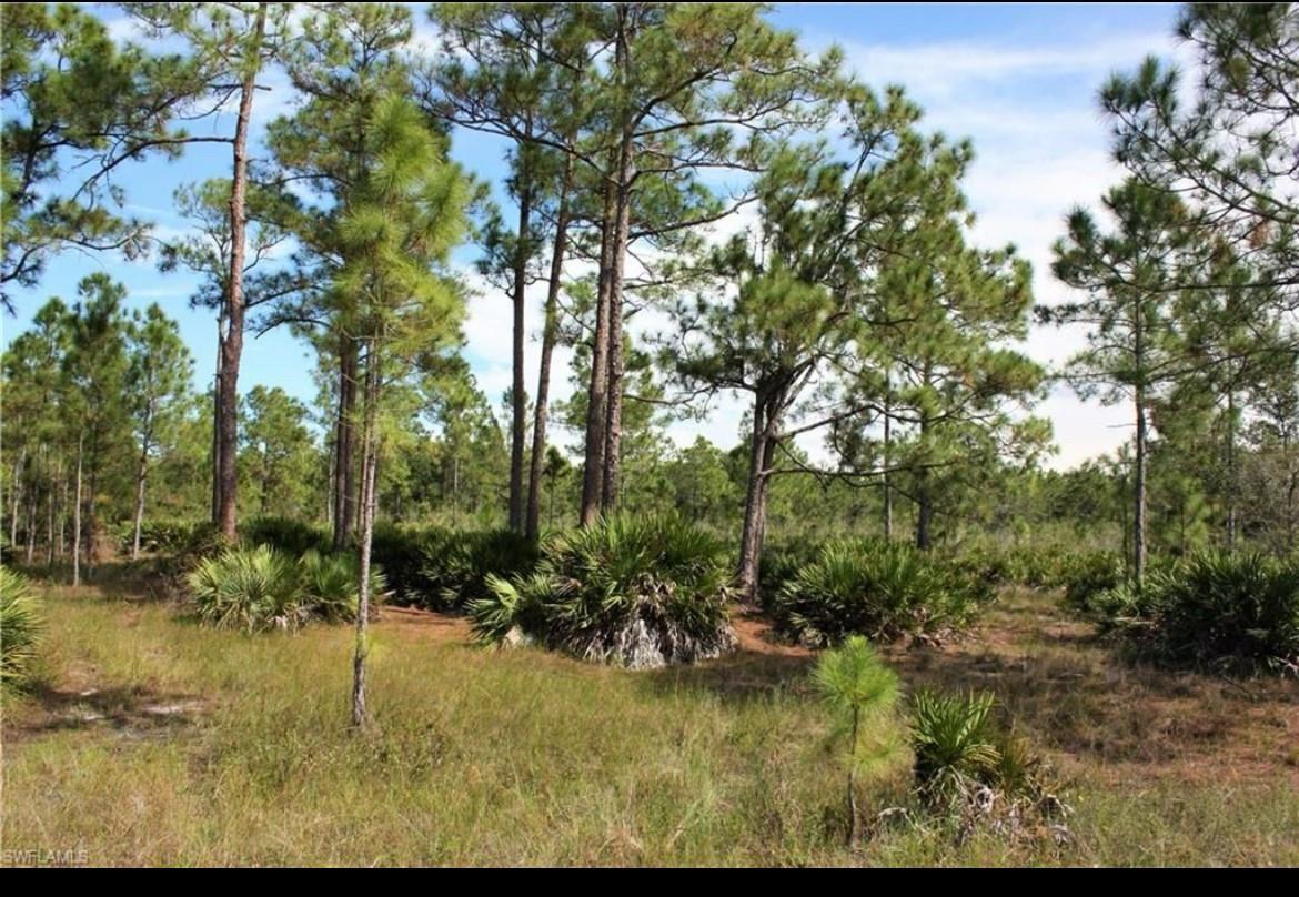 1855 Miller Street, Lehigh Acres FL 33972 photo 2