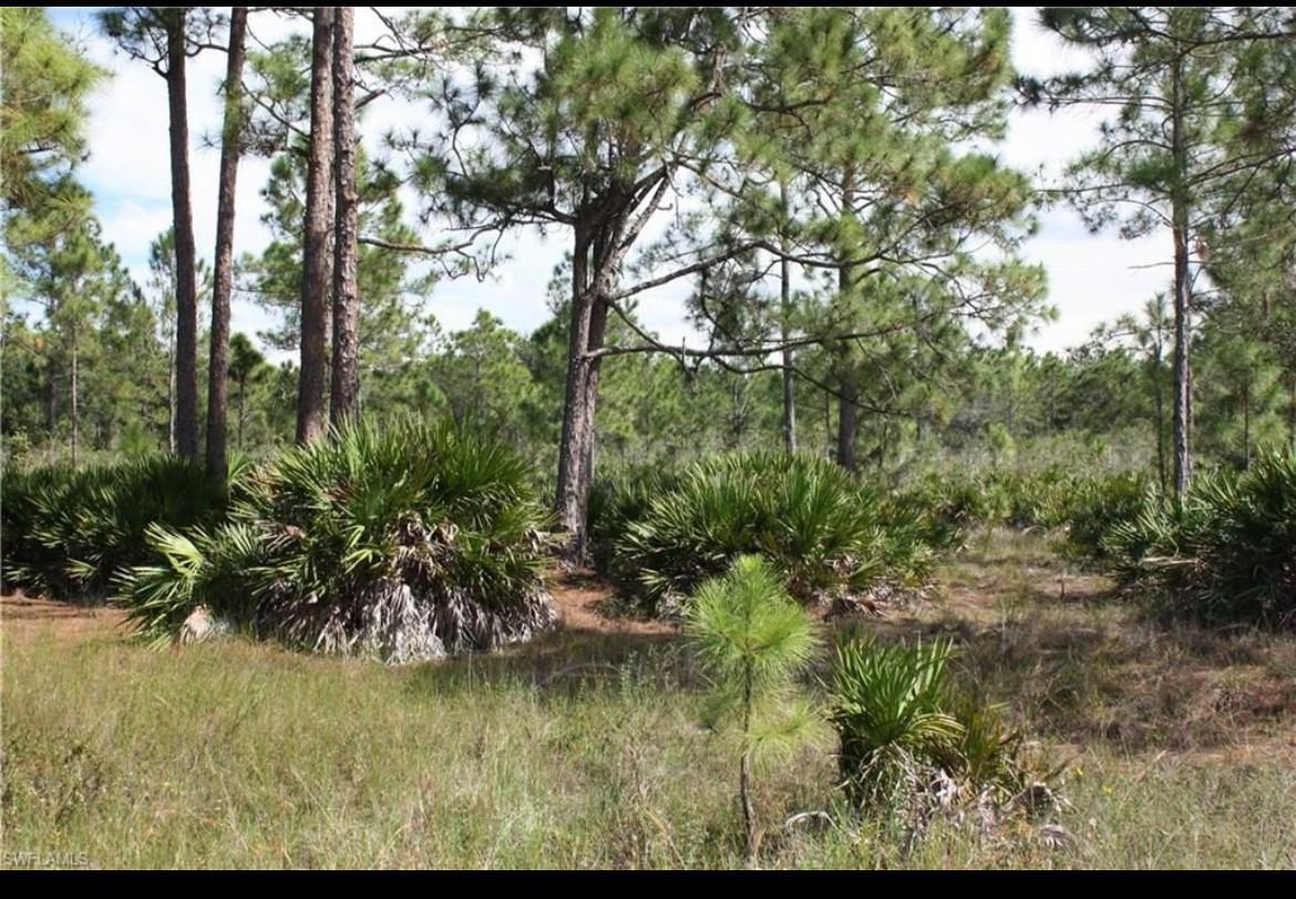 1855 Miller Street, Lehigh Acres FL 33972 photo 3
