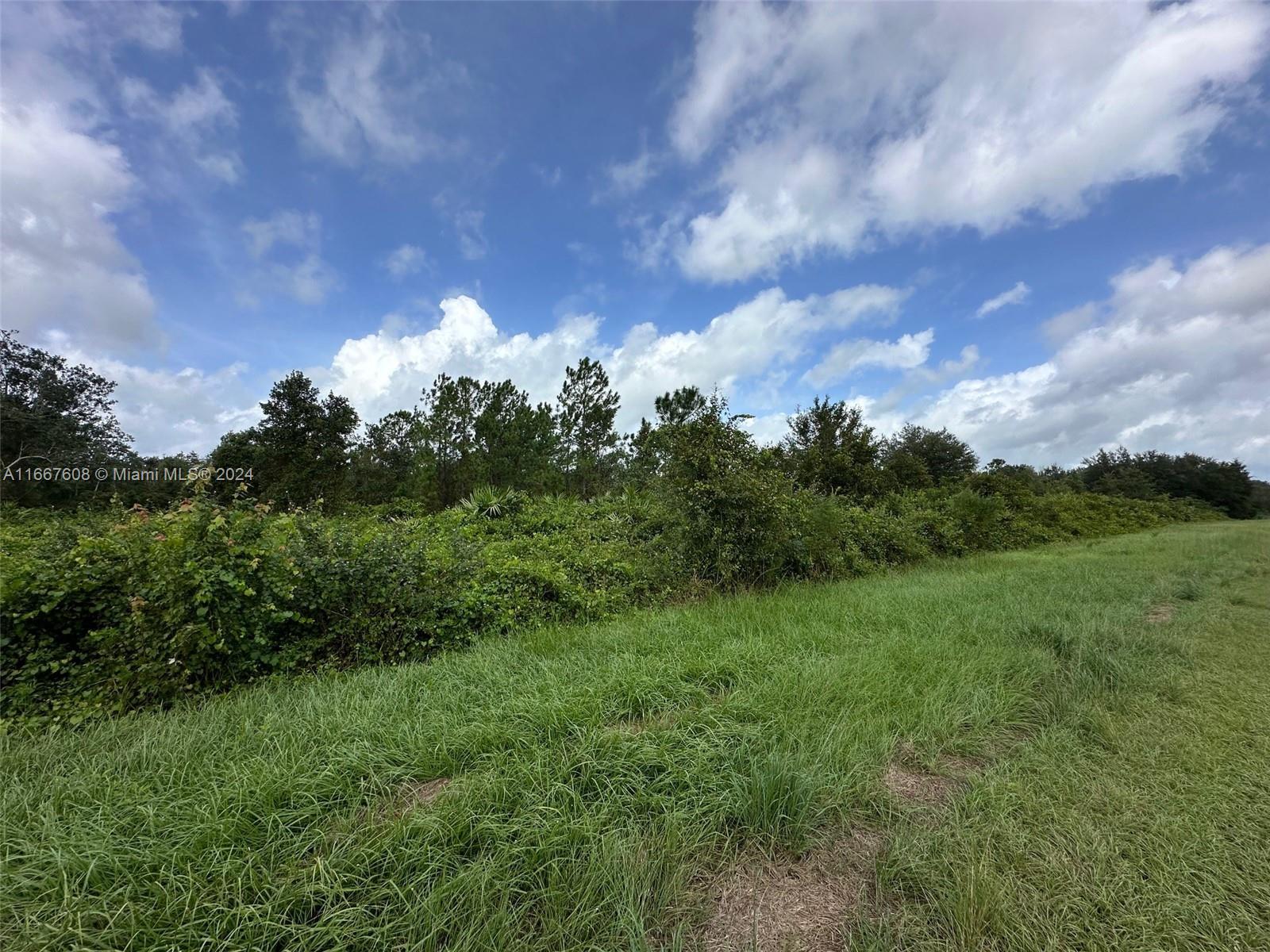 1010 S GABRIEL RD AVON PARK, Avon Park FL 33825 photo 2