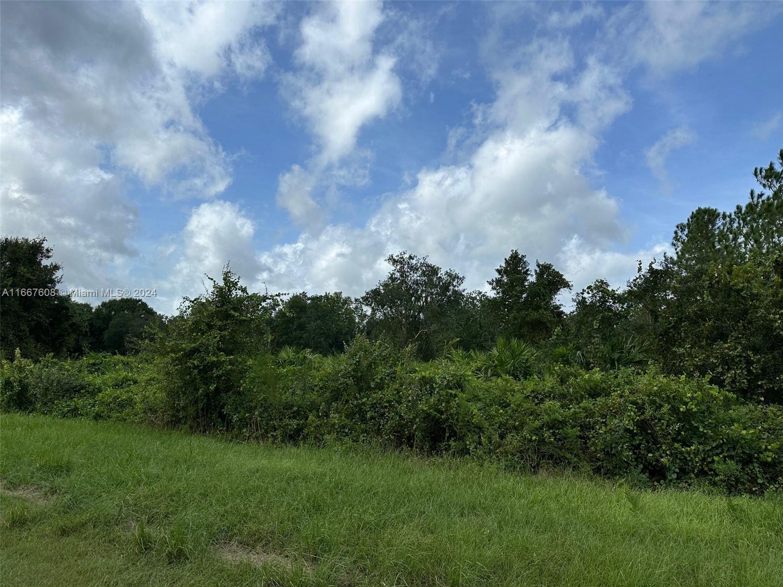1010 S GABRIEL RD AVON PARK, Avon Park FL 33825 photo 3