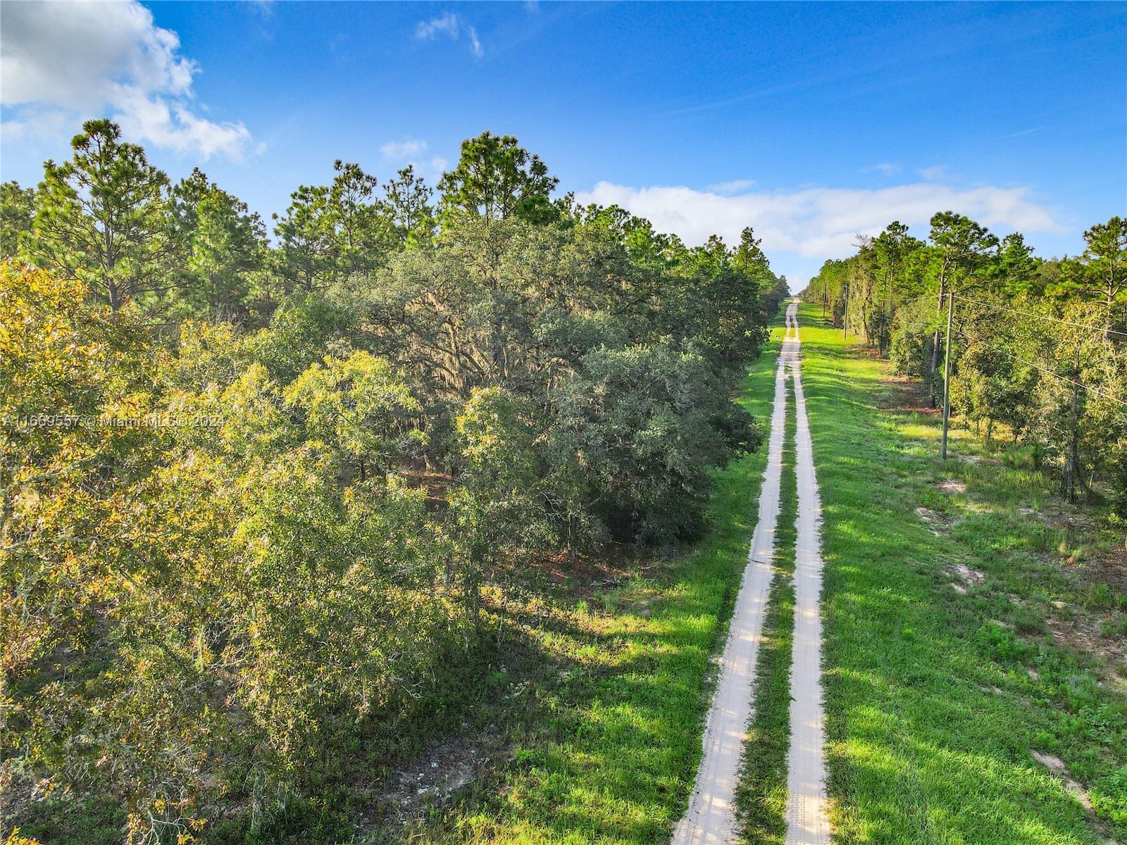TBD 0 SW 125th Court Rd, Ocala FL 34432 photo 2