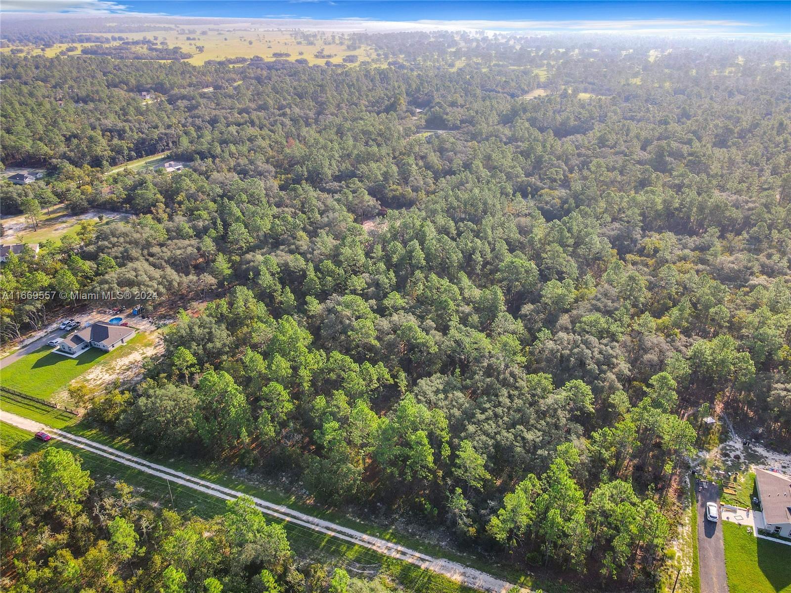 TBD 0 SW 125th Court Rd, Ocala FL 34432 photo 5
