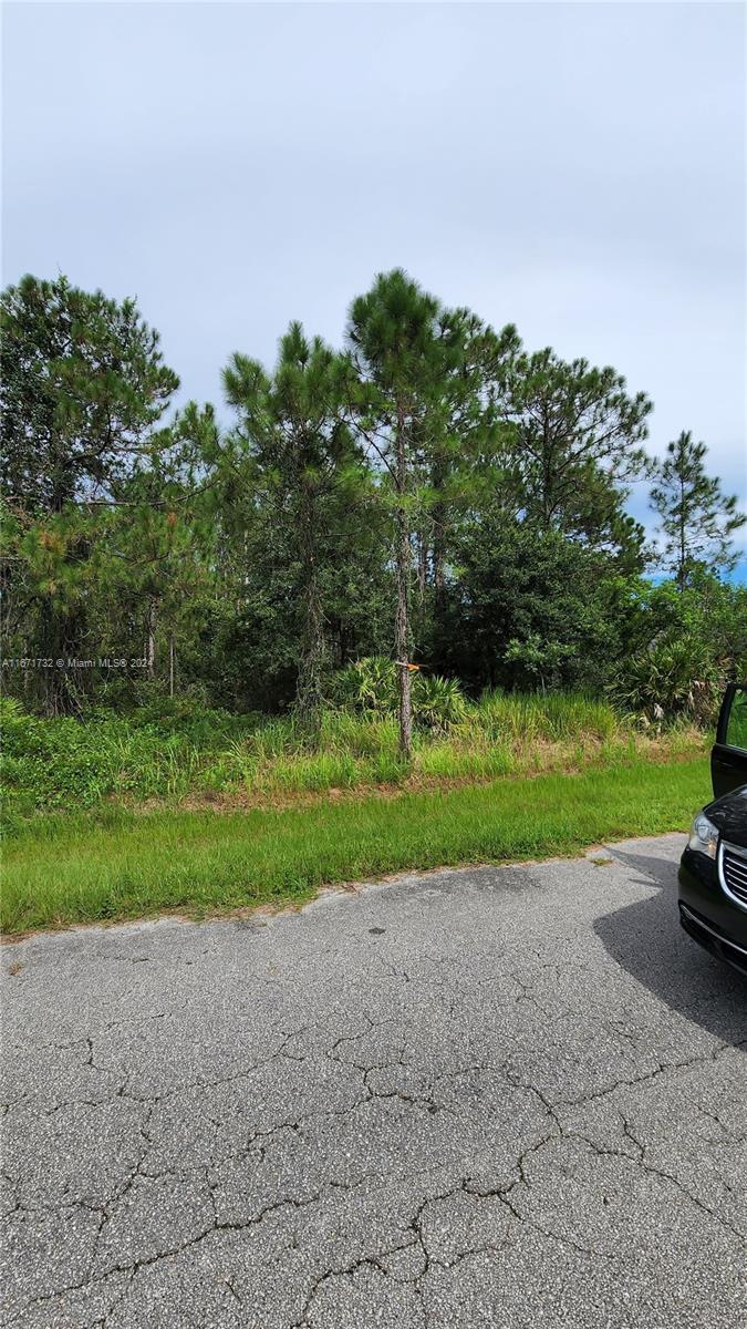 5408 SW San Juan Dr, Sebring FL 33872 photo 3