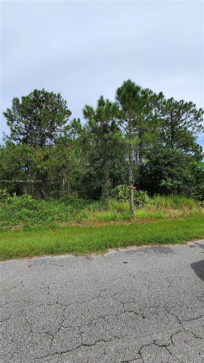 5408 SW San Juan Dr, Sebring FL 33872 photo 4