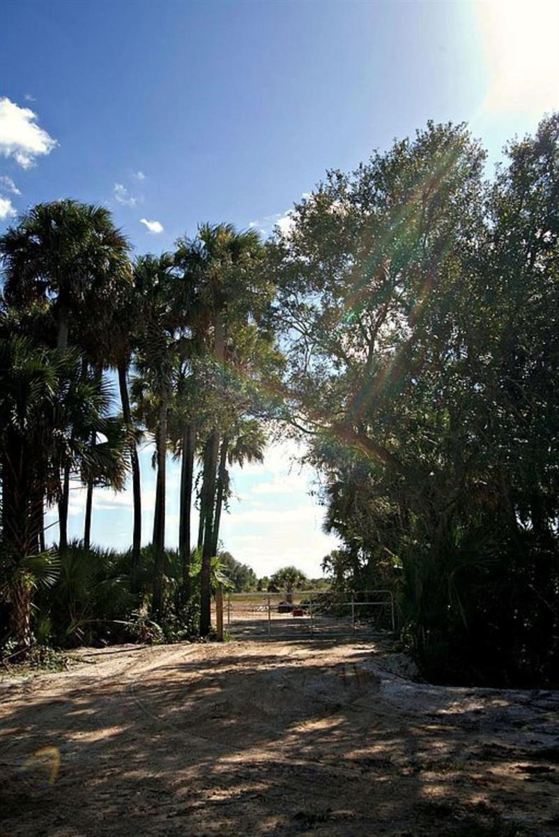 17120 NW 306th Street, Okeechobee FL 34972 photo 5