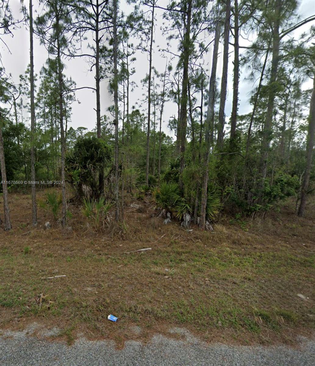 1419 Washington Ave, Lehigh Acres FL 33872 photo 2