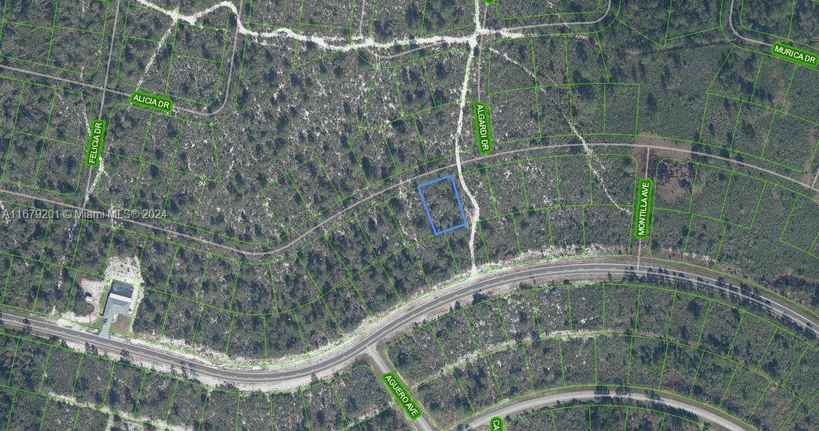 7651 Rosebud Drive, Sebring FL 33872