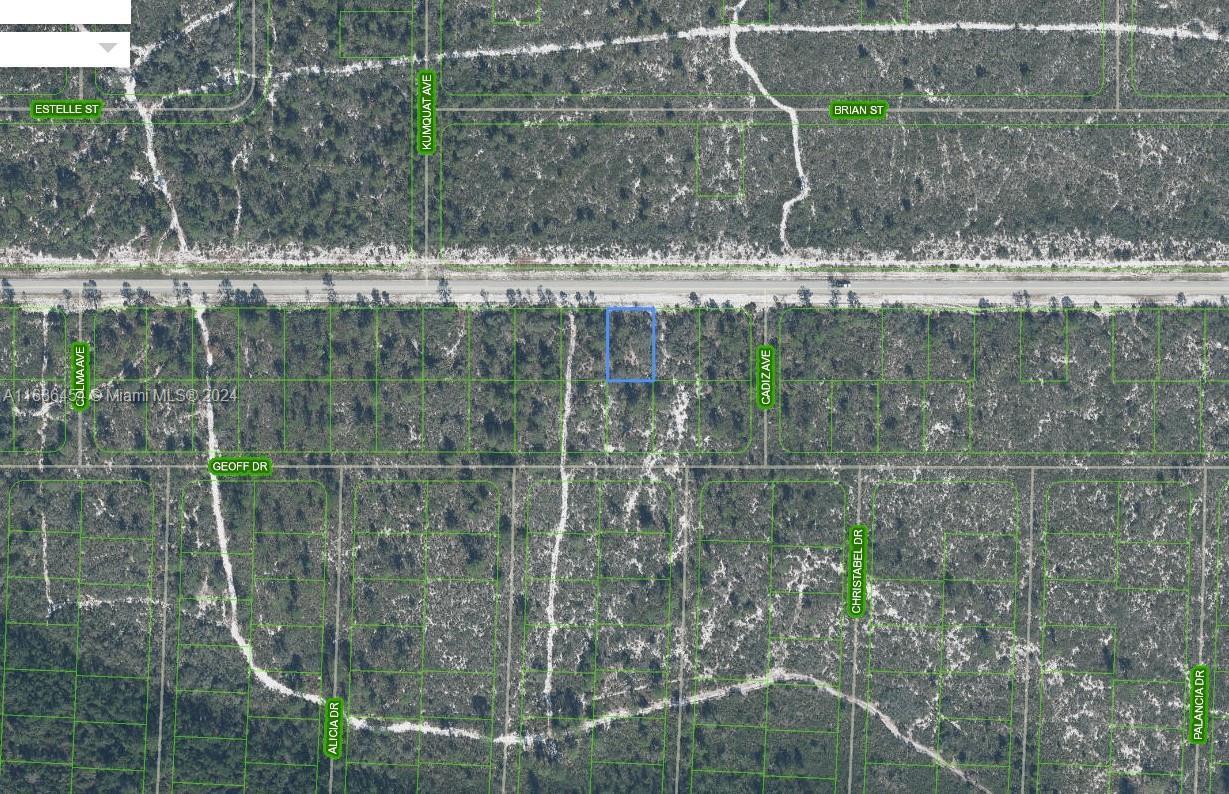 6737 Columbus Blvd, Sebring FL 33872 photo 2