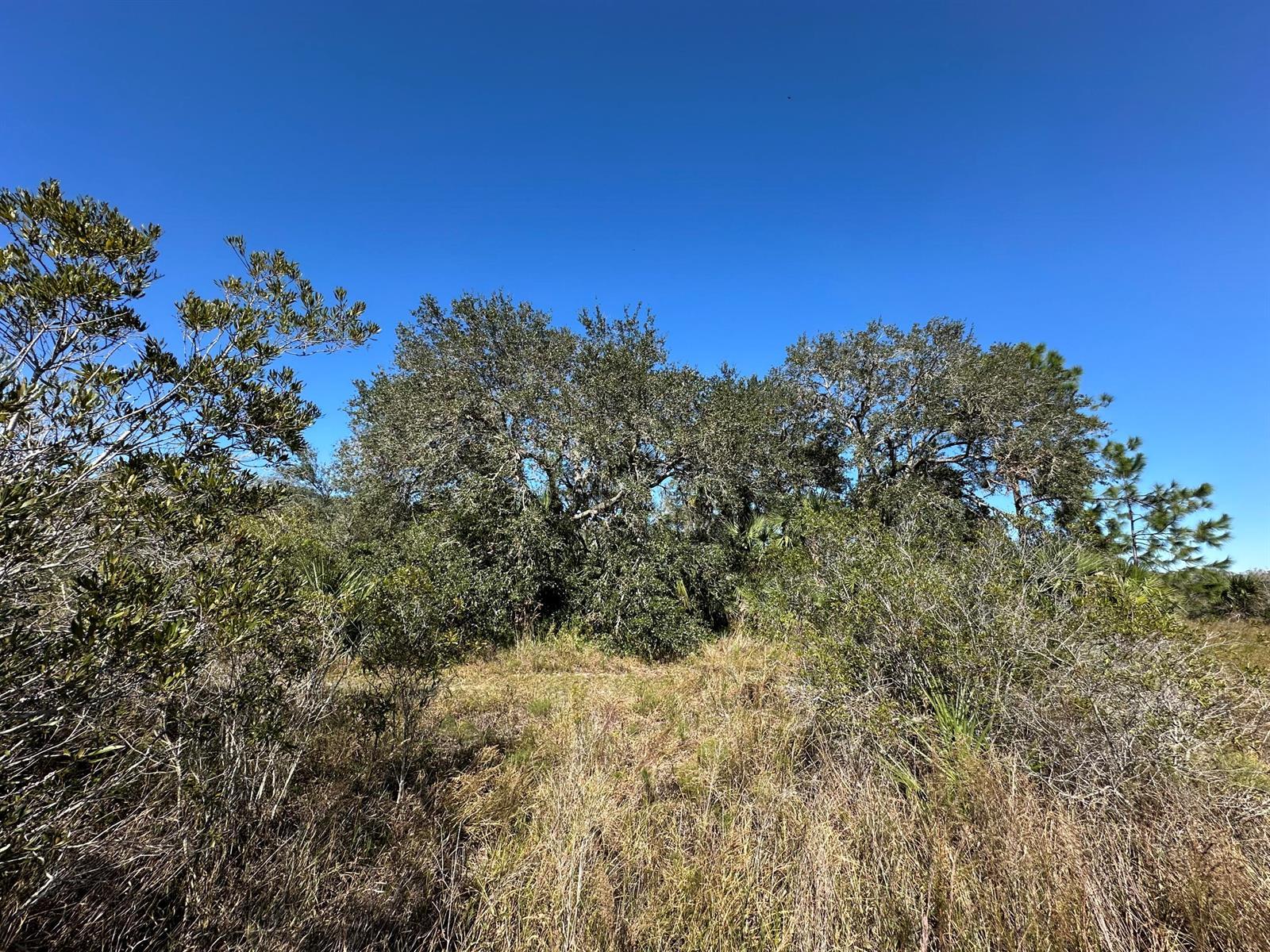 15415 NW 292nd Street, Okeechobee FL 34972 photo 2