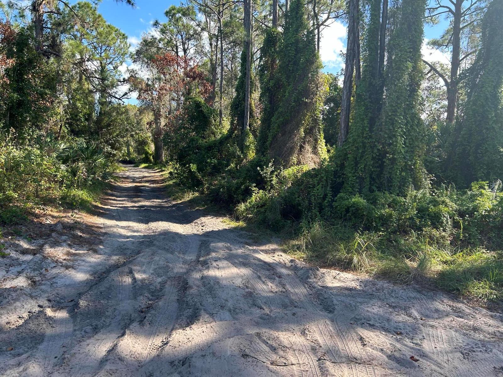 0 Slash Pine Trail, Fort Pierce FL 34945 photo 2