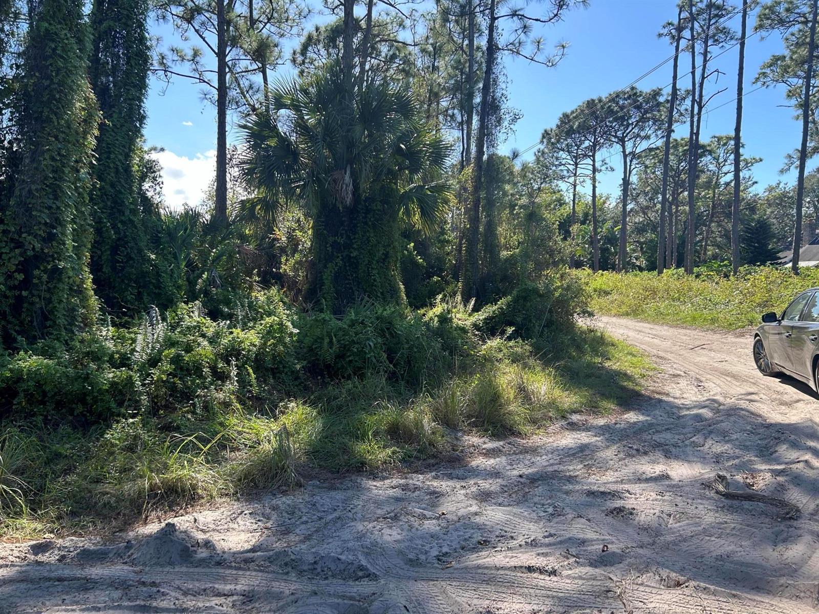 0 Slash Pine Trail, Fort Pierce FL 34945 photo 4