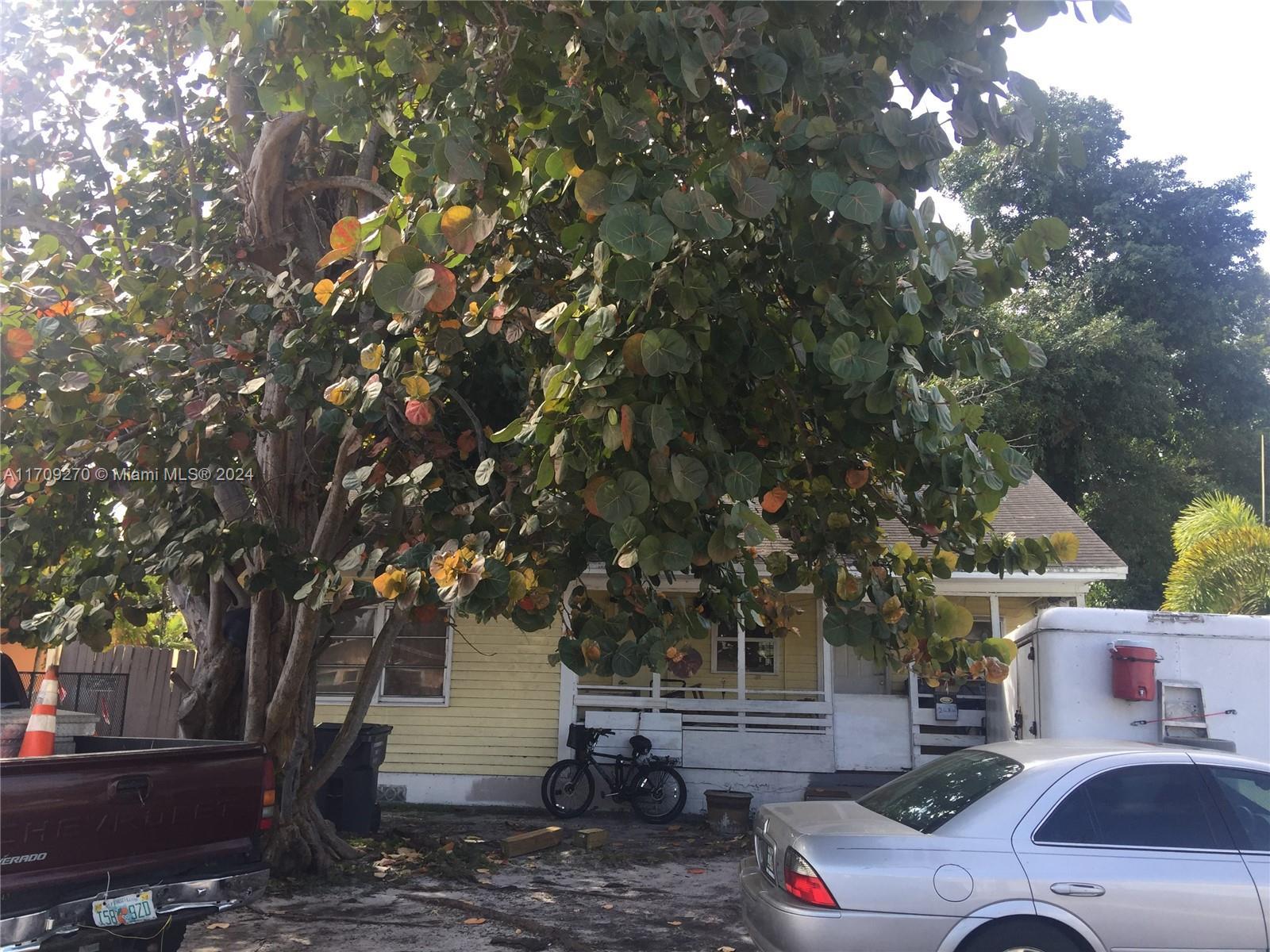 2456 Lincoln St, Hollywood FL 33020 photo 3