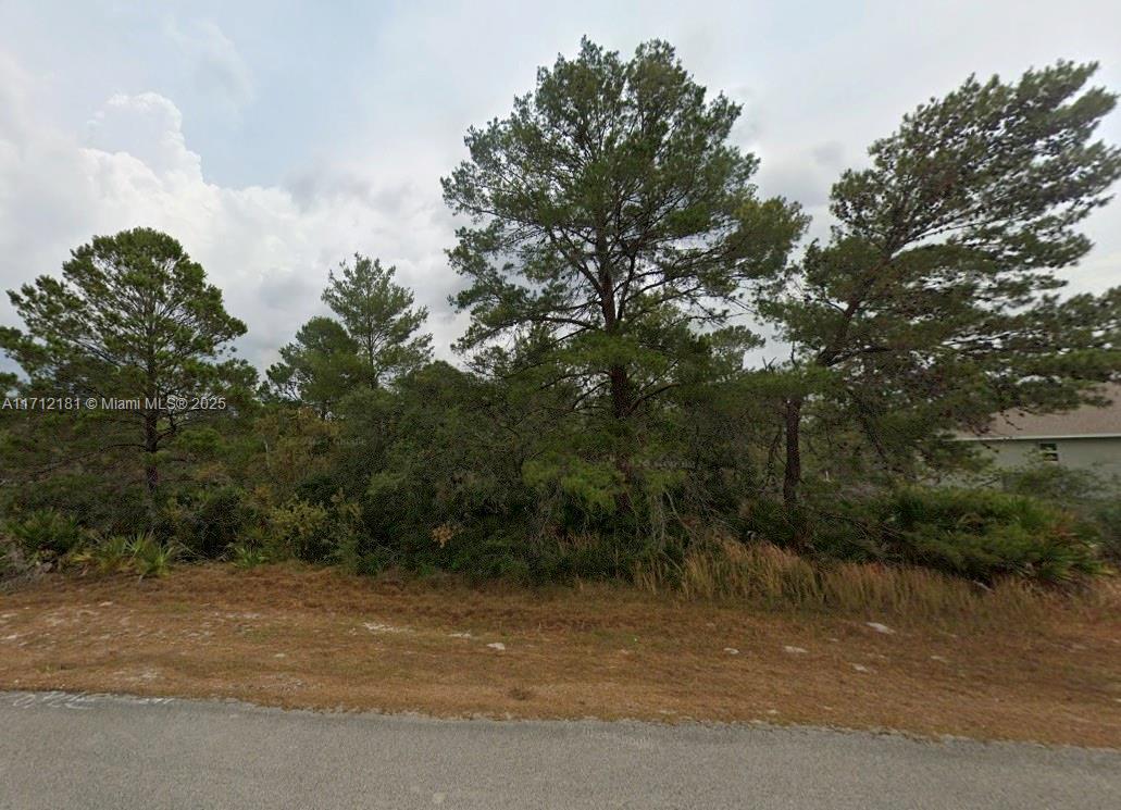 4738 San Ignacio Dr, Sebring FL 33872 photo 3