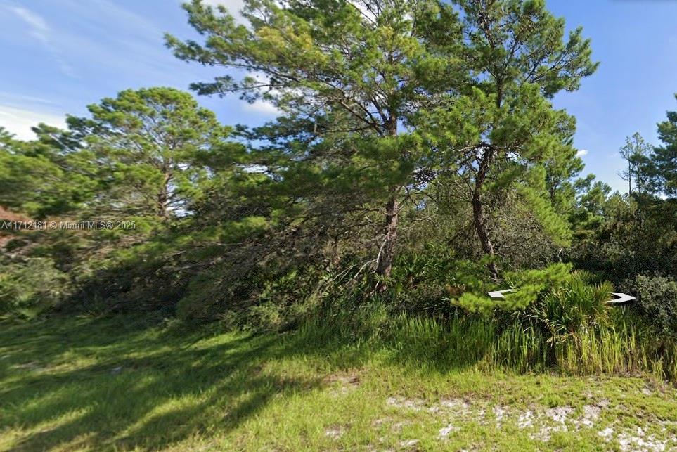 4738 San Ignacio Dr, Sebring FL 33872