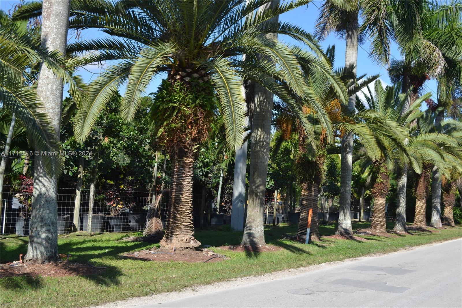 22500 SW 207 Avenue, Miami FL 33170 photo 2