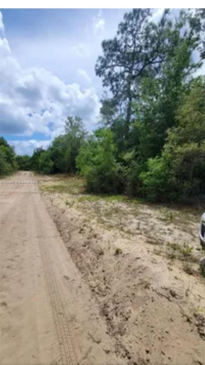 111 George Dr, Palatka FL 32148 photo 4