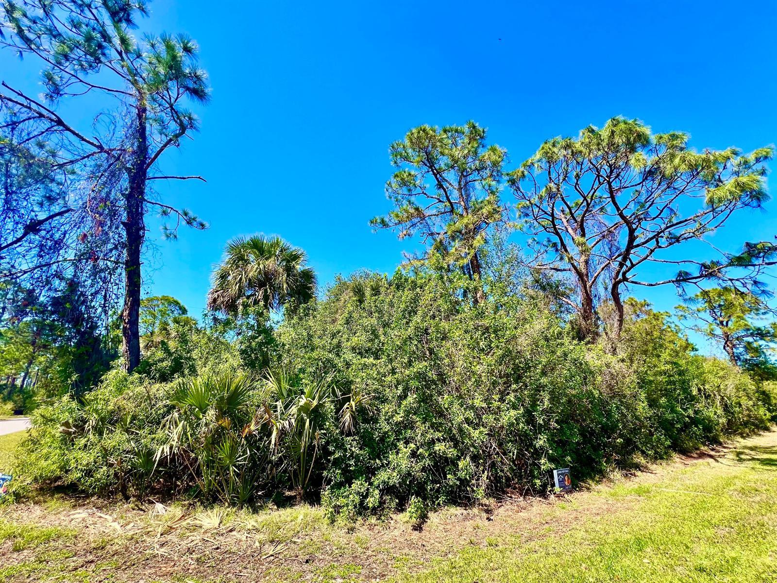 12142 Joyner Avenue, Port Charlotte FL 33953 photo 2