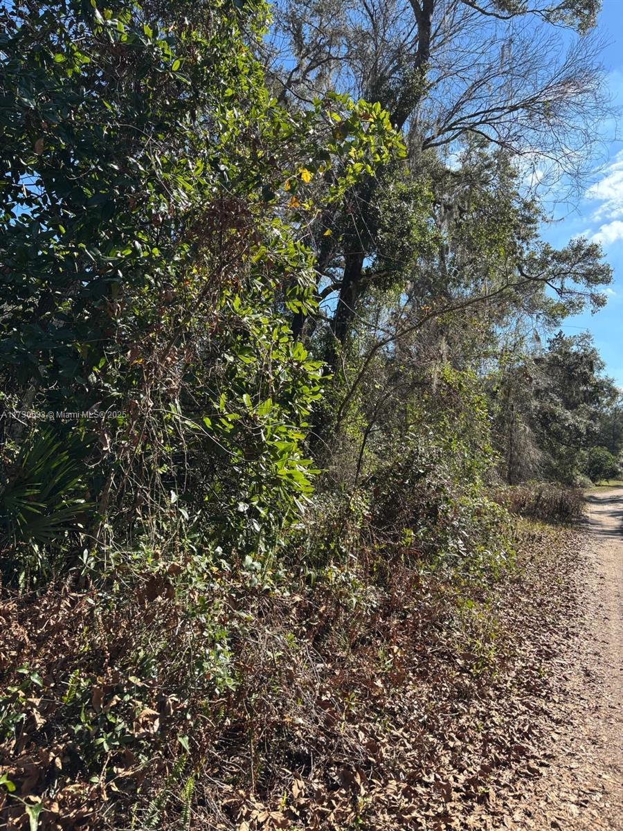 10572 SE 188 Ct, Other City - In The State Of Florida FL 32179 photo 5