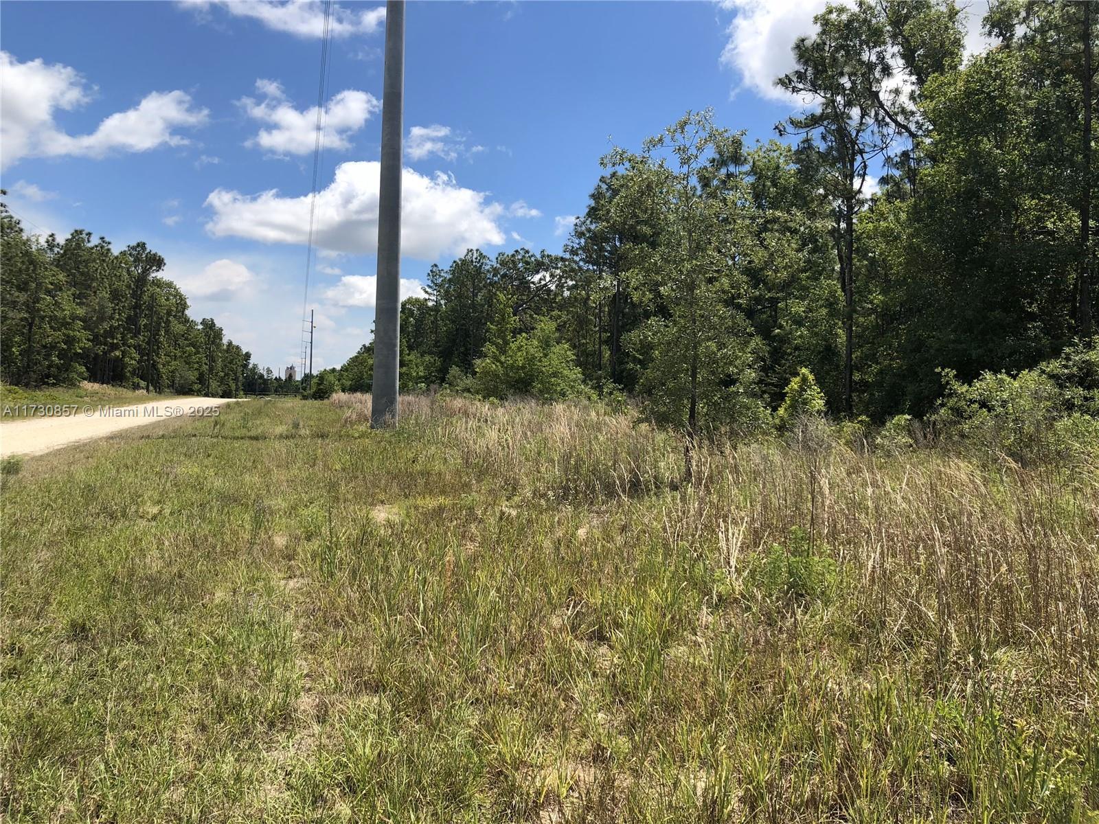 15107 Canvasback Rd, Other City - In The State Of Florida FL 34614 photo 2