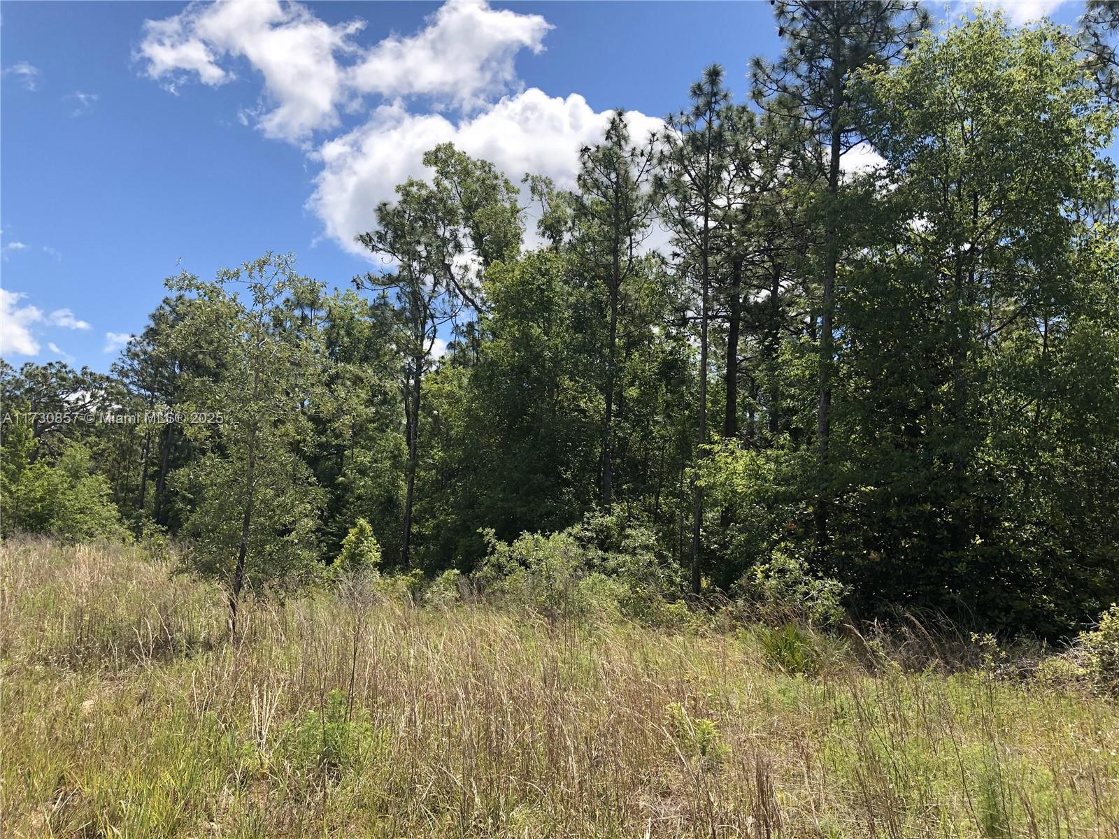 15107 Canvasback Rd, Other City - In The State Of Florida FL 34614 photo 3