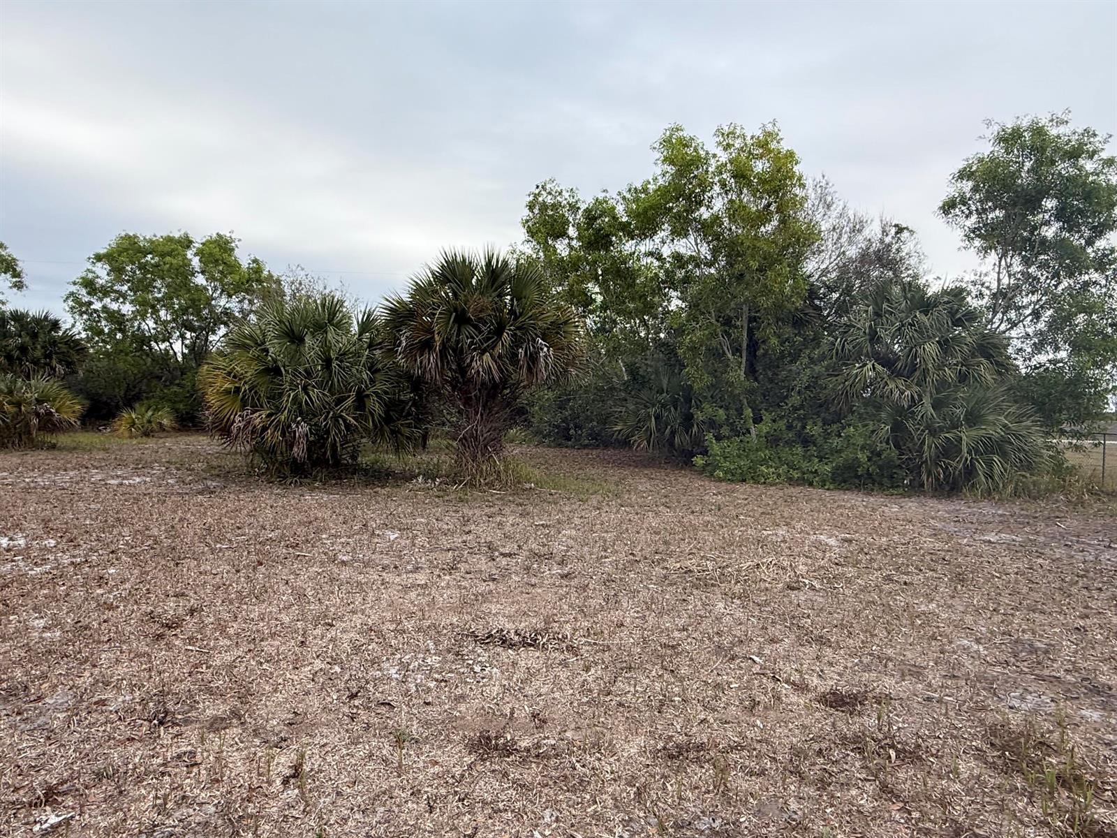 754 Hunting Club Avenue, Clewiston FL 33440 photo 4