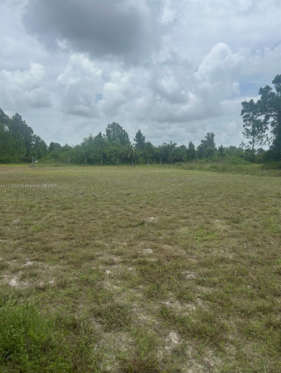 7897 5TH TER, La Belle FL 33935 photo 2