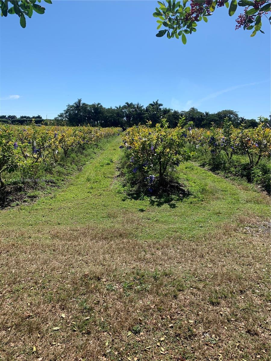 0 TBD, Homestead FL 33030 photo 2