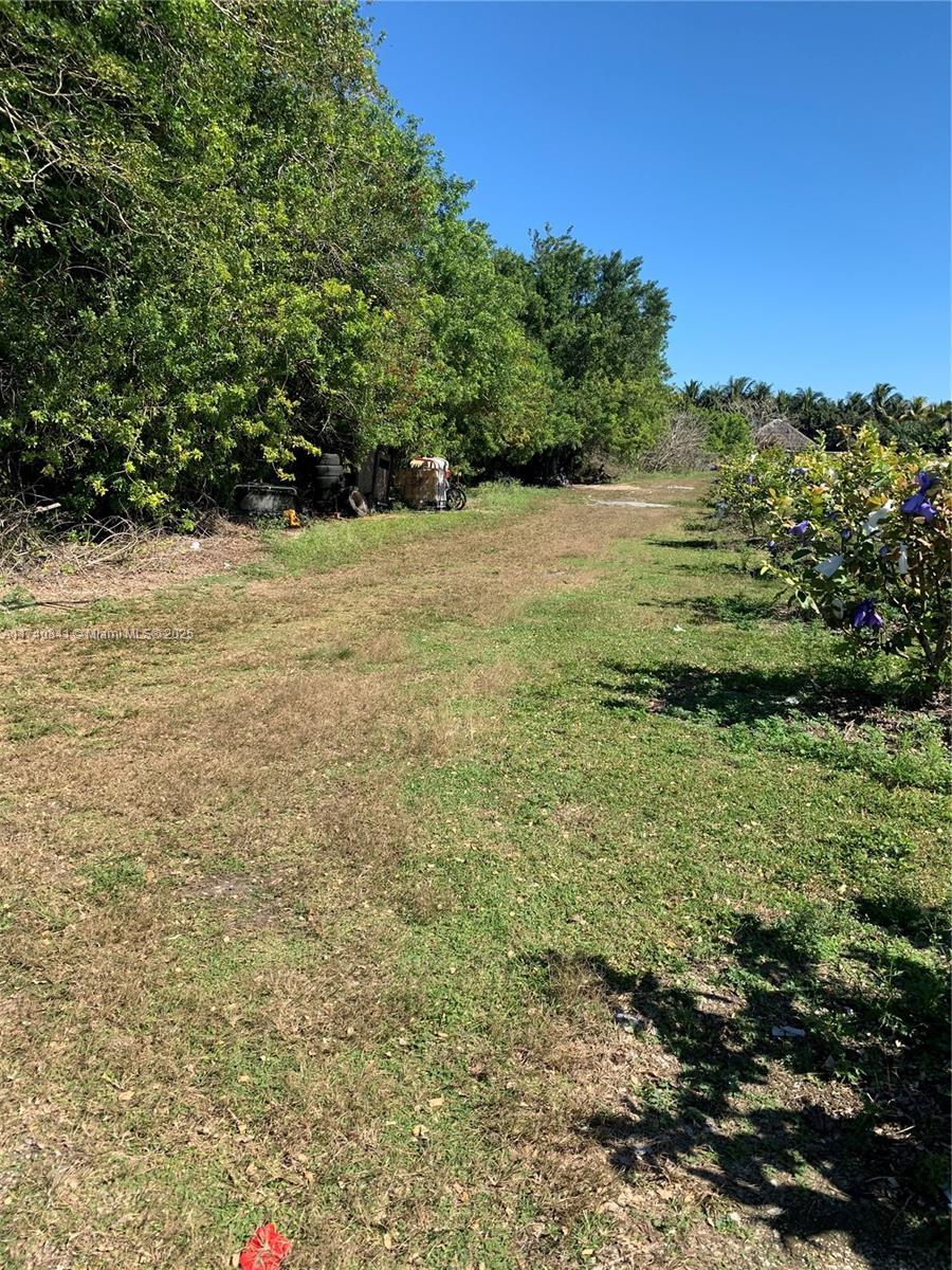 0 TBD, Homestead FL 33030 photo 3
