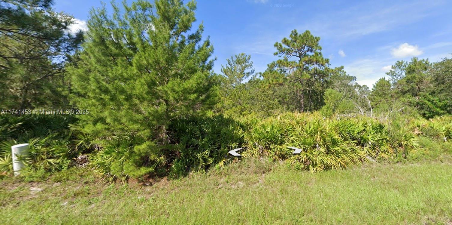 6039 Virtudes St, Sebring FL 33872