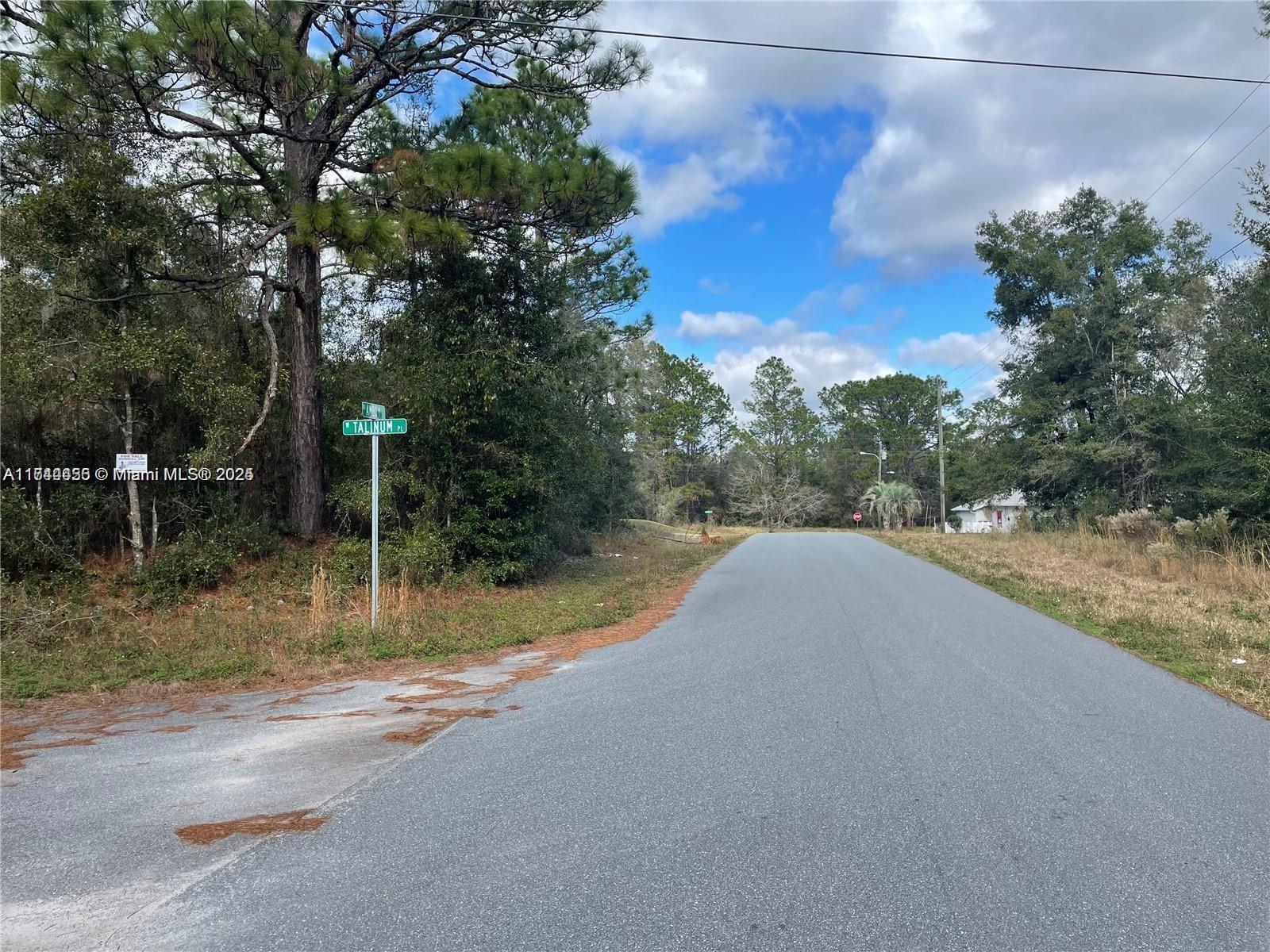 3279 W Talinum PL, Other City - In The State Of Florida FL 34433 photo 2
