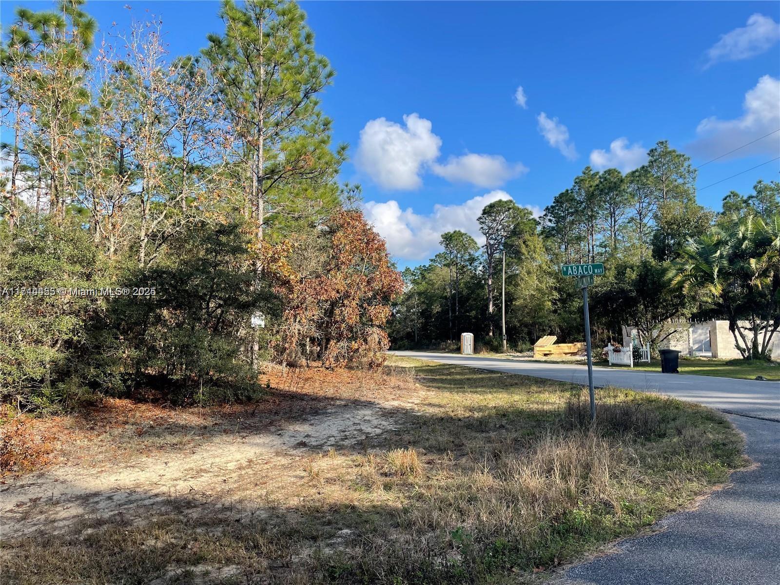 3279 W Talinum PL, Other City - In The State Of Florida FL 34433 photo 3