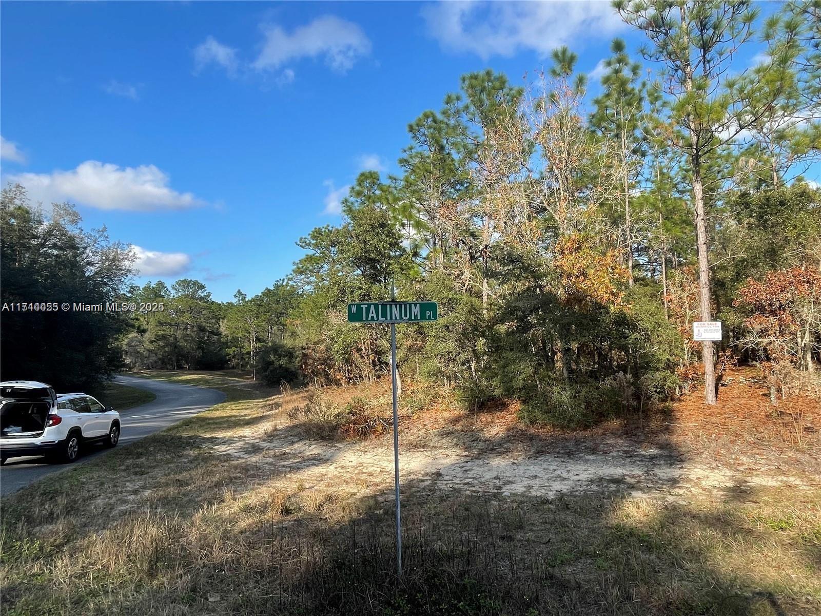3279 W Talinum PL, Other City - In The State Of Florida FL 34433 photo 5