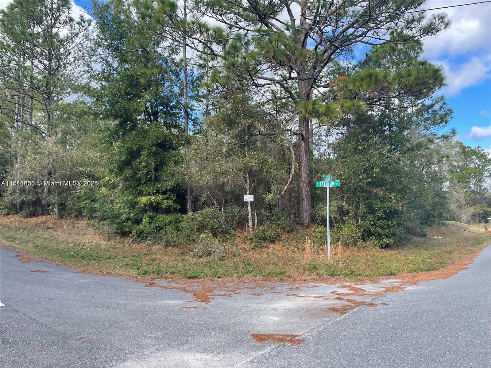 3279 W Talinum PL, Other City - In The State Of Florida FL 34433 photo 4