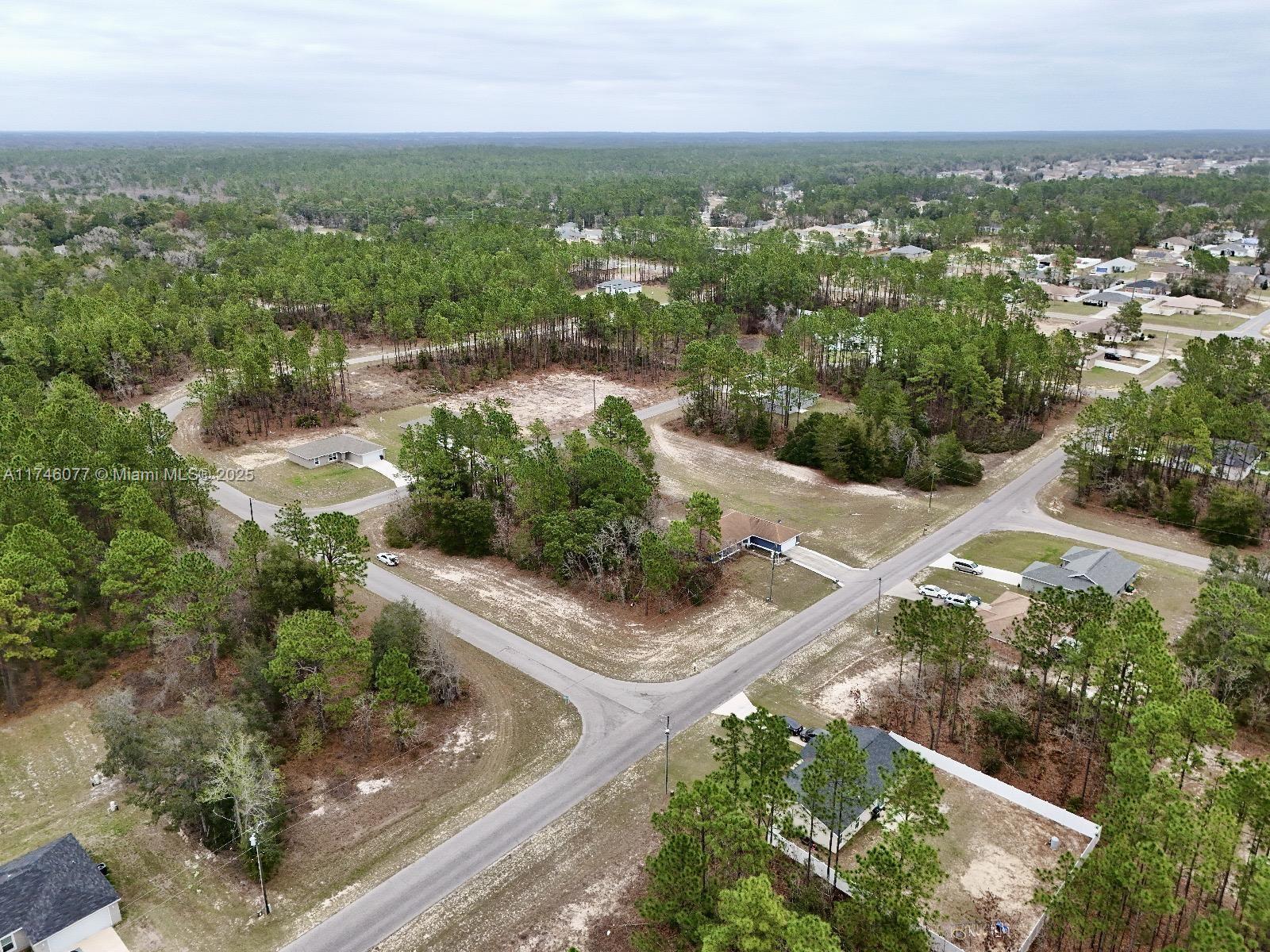 0 SW 130TH LOOP, Ocala FL 34473 photo 4