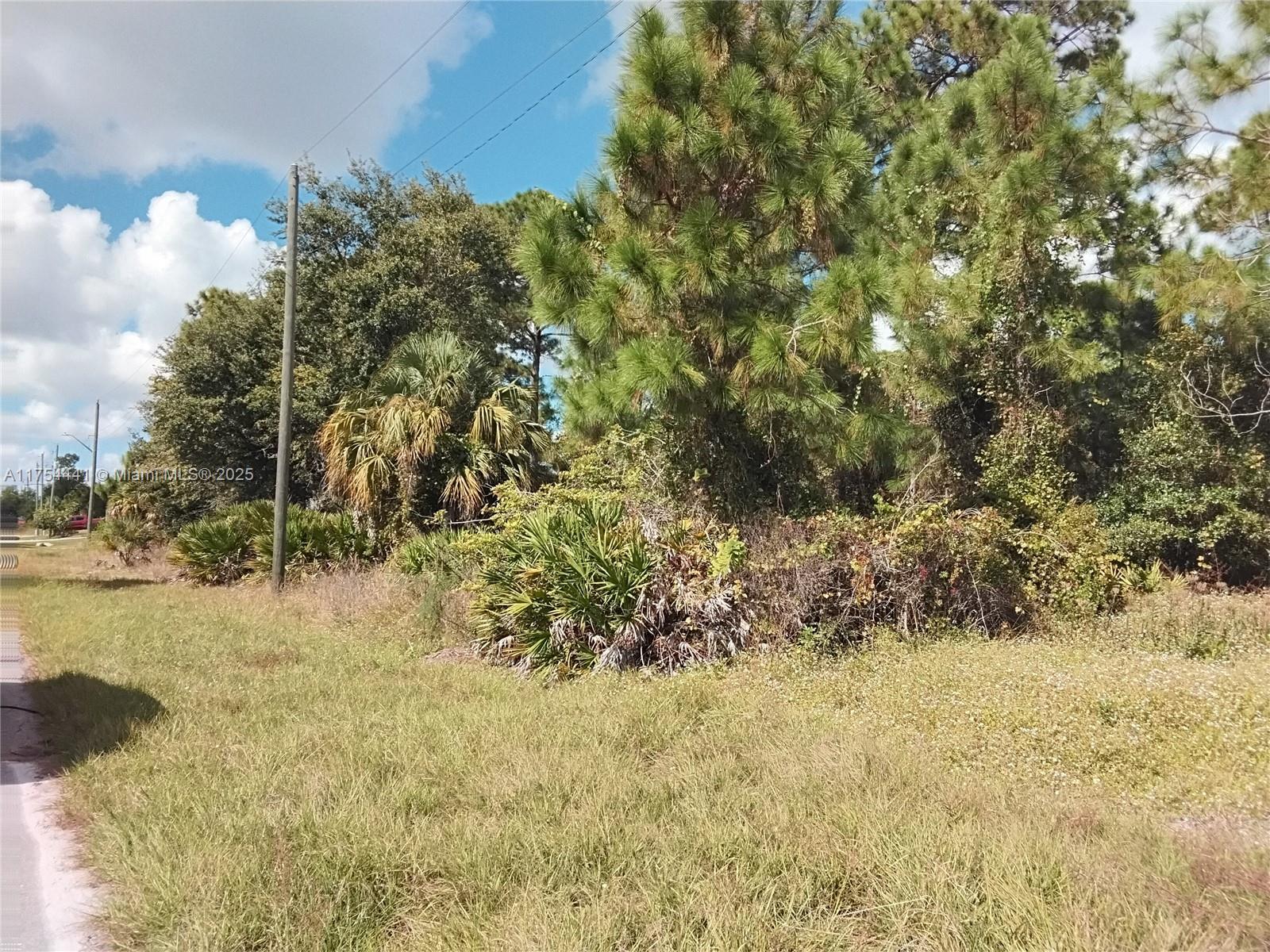 3504 W 74th ST, Lehigh Acres FL 33971 photo 5
