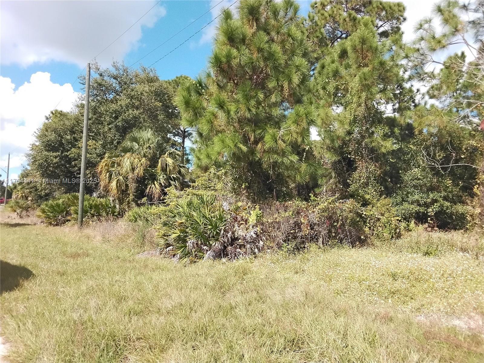 3504 W 74th ST, Lehigh Acres FL 33971 photo 4