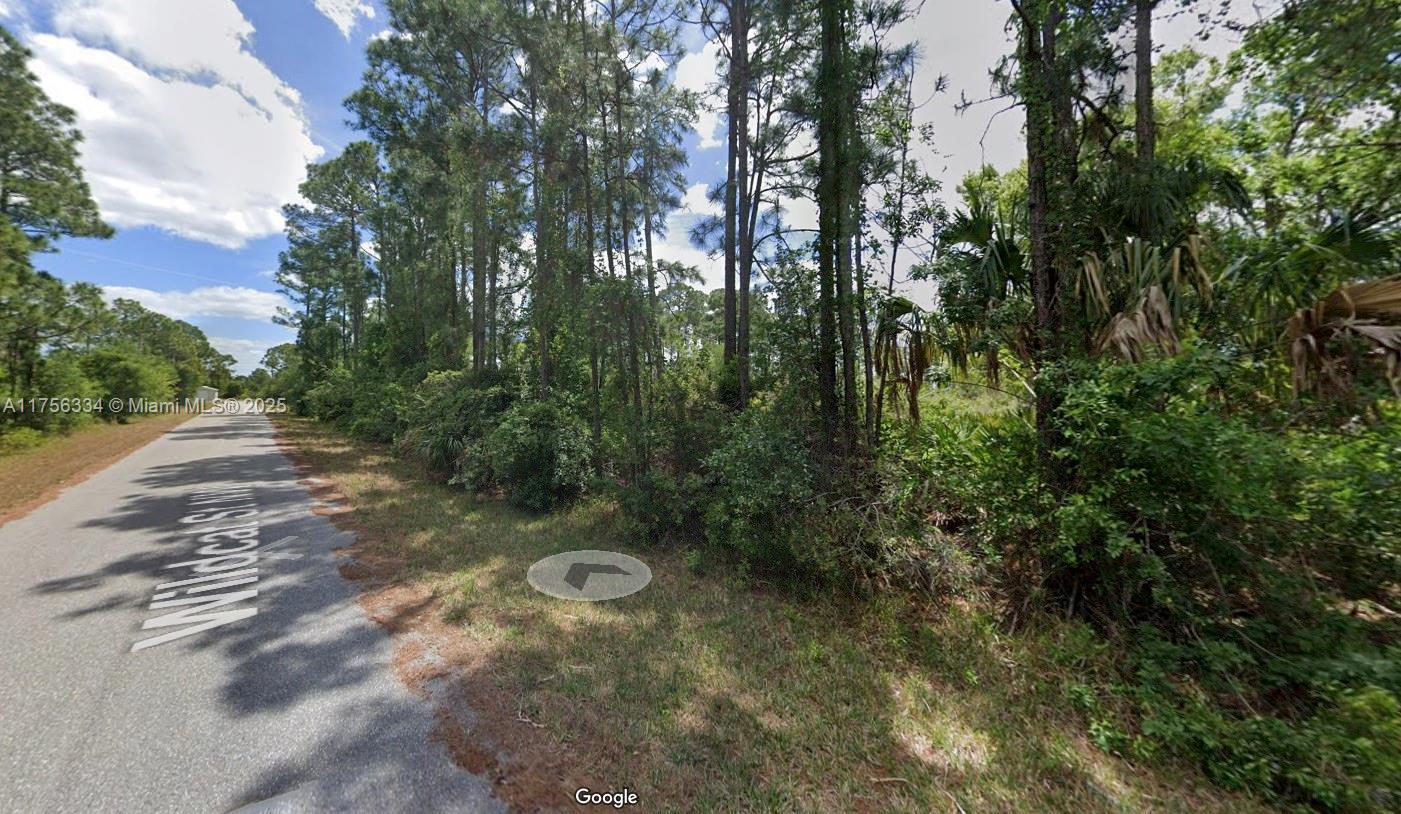 354 Wildcat St, Lake Placid FL 33852 photo 2