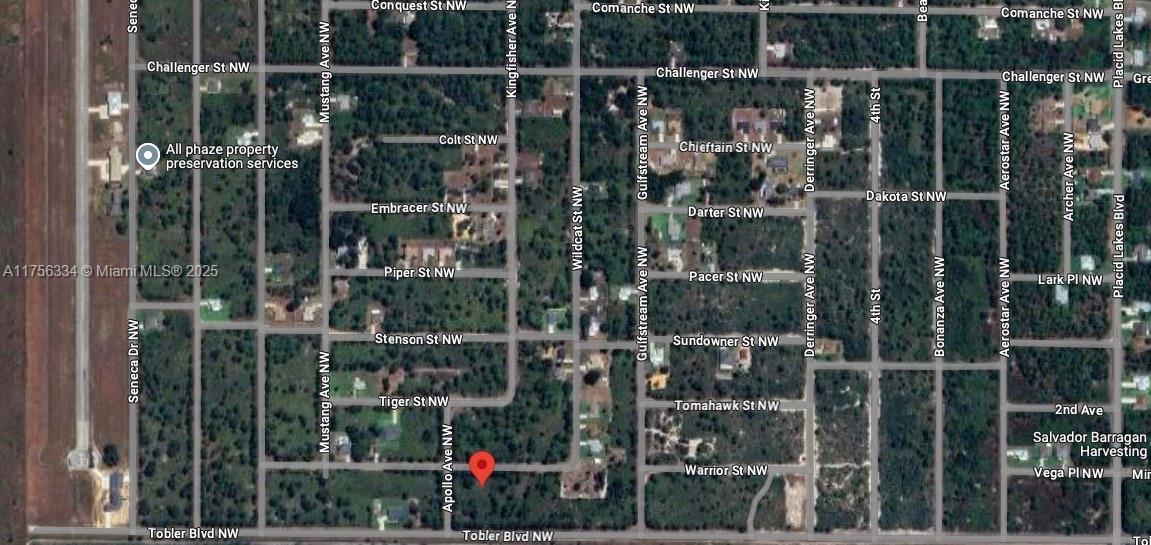 354 Wildcat St, Lake Placid FL 33852 photo 3