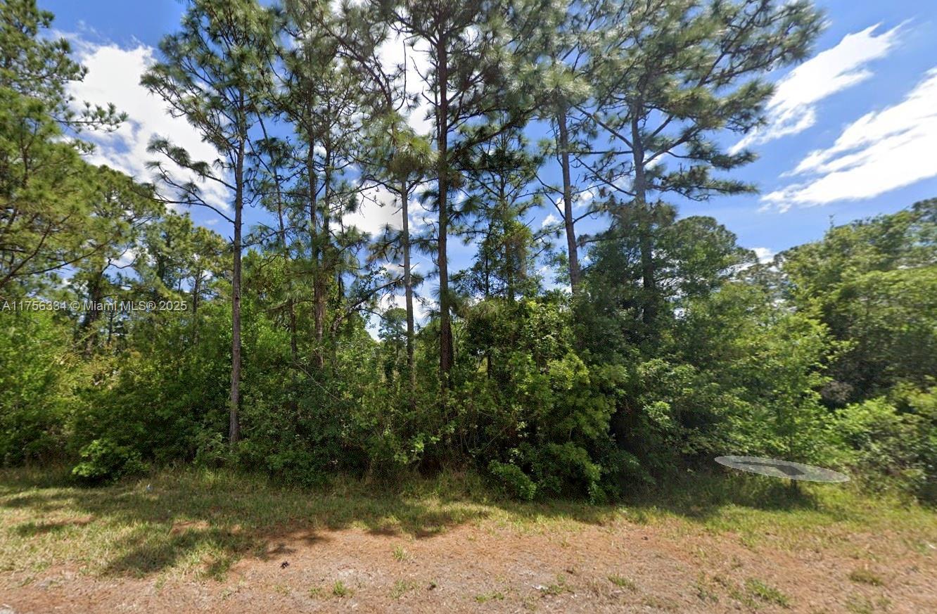 354 Wildcat St, Lake Placid FL 33852