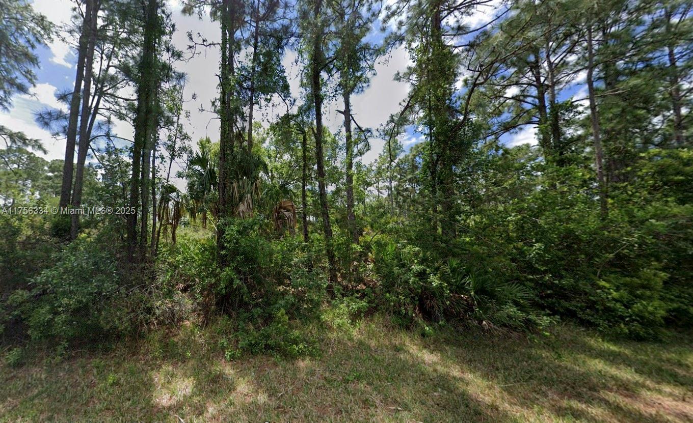 354 Wildcat St, Lake Placid FL 33852 photo 5