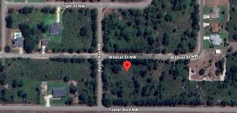 354 Wildcat St, Lake Placid FL 33852 photo 4
