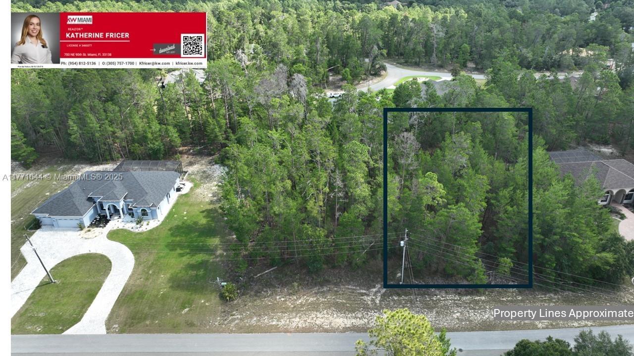 40 Village Center Dr, Homosassa Springs FL 34446 photo 3