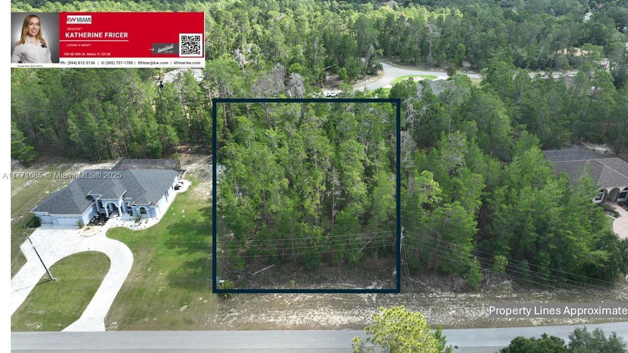 42 VILLAGE CENTER DR, Homosassa Springs FL 34446 photo 2