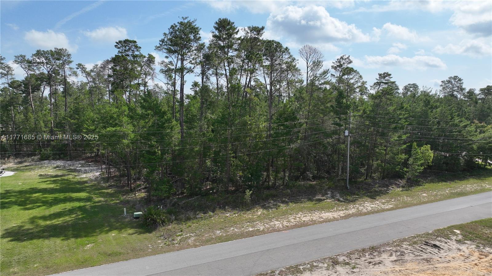 42 VILLAGE CENTER DR, Homosassa Springs FL 34446 photo 4
