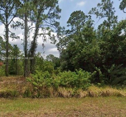 5513 SW San Juan Dr, Sebring FL 33872